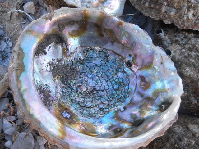 Imported stones